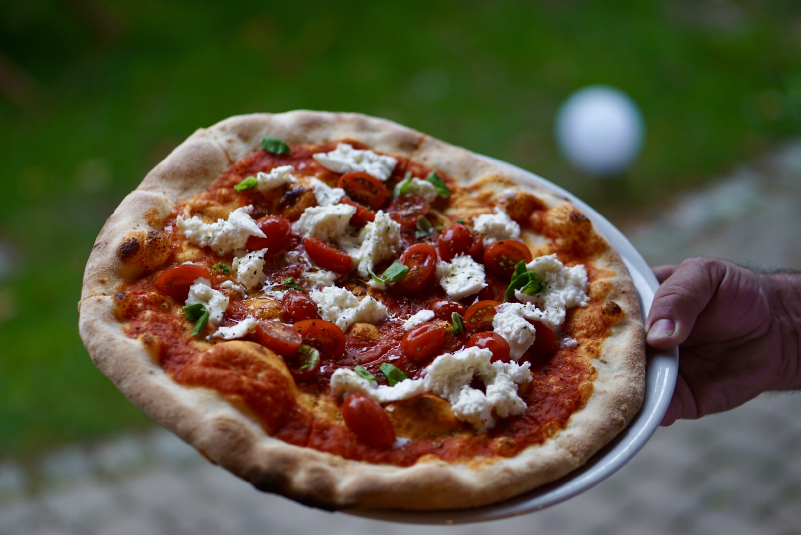 Frisch gebackene Pizza mit Tomaten, Burrata und Basilikum auf Keramikteller